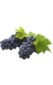 Capella - Grape 10мл