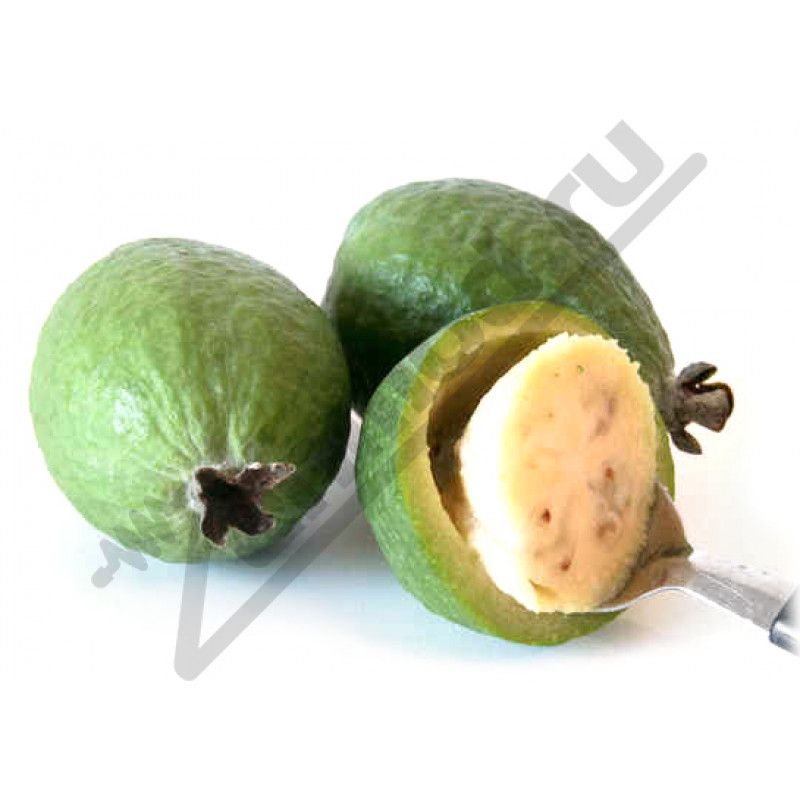Фото и внешний вид — FruitAmira - Фейхоа 10мл