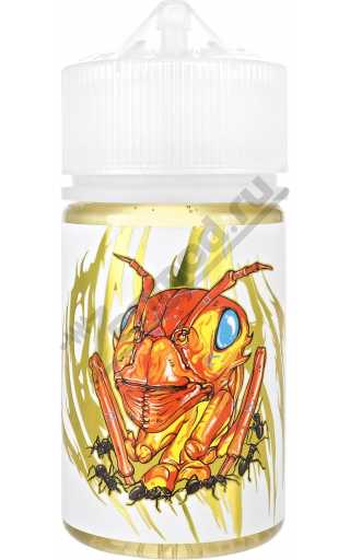 DOCTOR GRIMES - Circle Pit 80мл