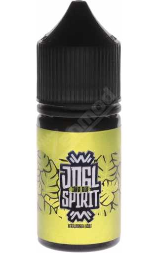 JNGL Spirit Iced Out SALT - Strawberry Kiwi 30мл