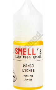 Smell's Like Teen Spirit SALT - Mango Lychee 30мл