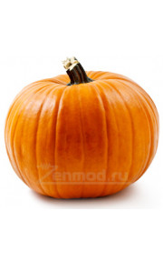 TPA - Pumpkin 10мл