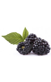TPA - Boysenberry 10мл