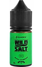 Wild SALT - Kiwi-Currant 30мл