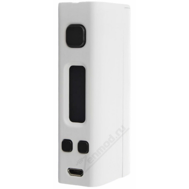 Фото и внешний вид — SMOK R-Steam Mini 80W White